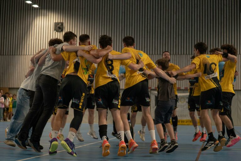 La Ferrière Vendée Handball. Nationale 3.