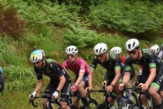 Roche Vendée Cyclisme. U19. Saison 2026