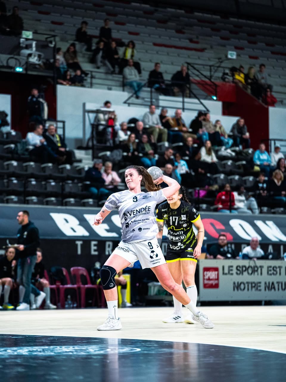 Handball. D2F. La Roche