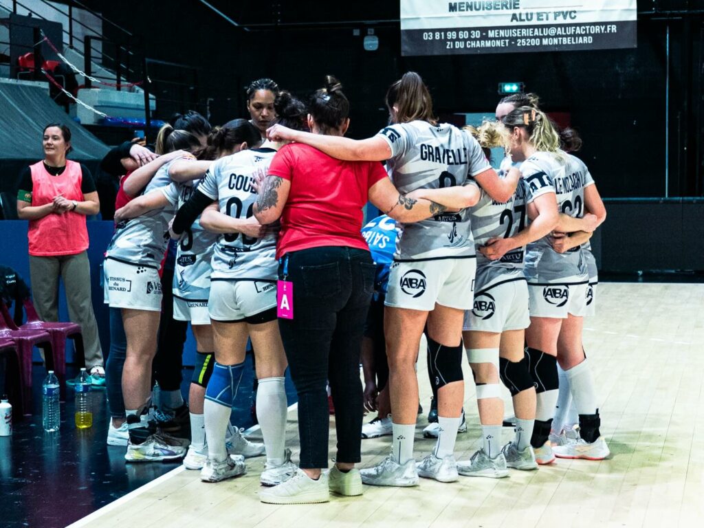 Handball. D2F. La Roche