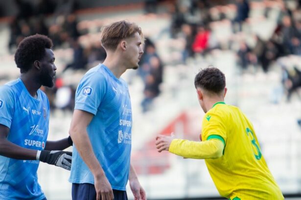 National 3. Journée 15. LSVF VPF FCC85 et VFF
