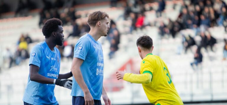 National 3. Journée 15. LSVF VPF FCC85 et VFF