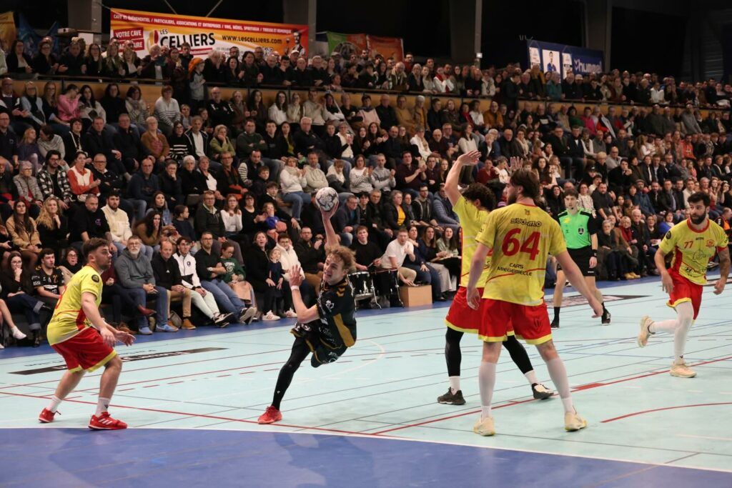 Nationale 2. Journée 14. Pouzauges VHB