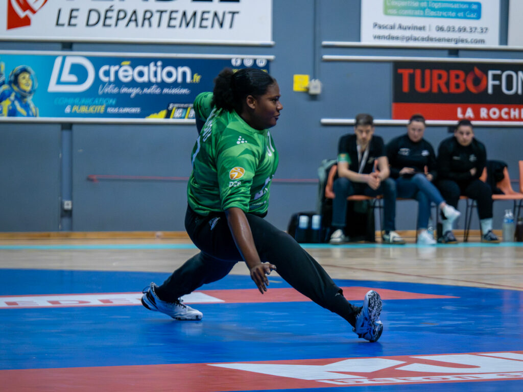 D2F. Journée 13. La Roche Vendée HB.