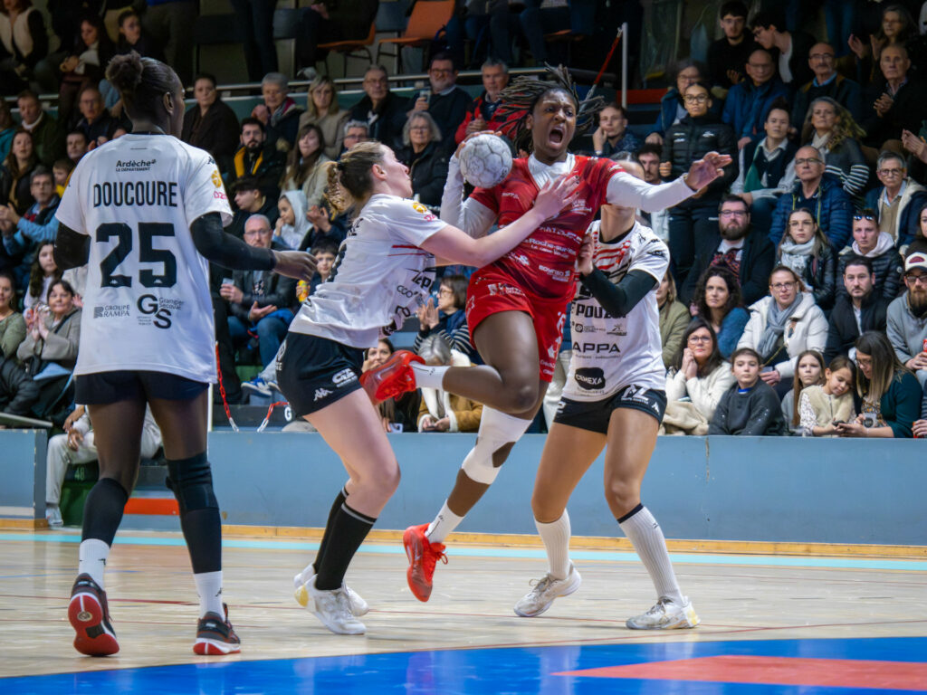 D2F. Journée 13. La Roche Vendée HB.