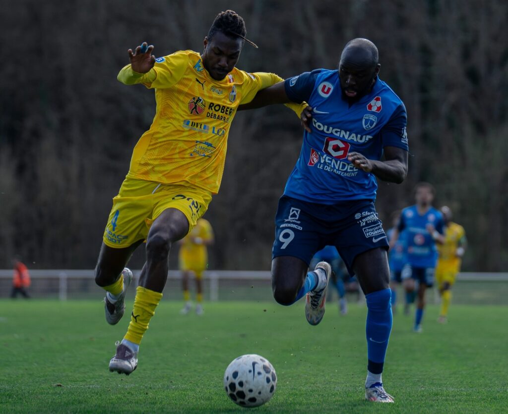 National 3. Journée 18. Vendée Poiré Football. Davel Mayela.