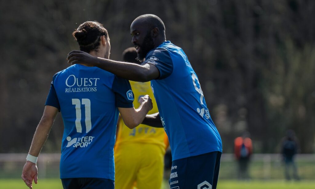National 3. Journée 18. Vendée Poiré Football. Davel Mayela.