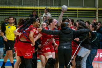 D2F. Journée 13. La Roche Vendée HB.